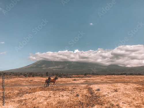 Horse on a mountain