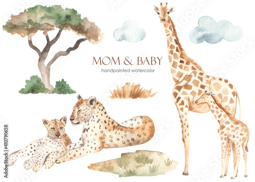 Watercolor set mom and baby Africa leopards  giraffes  dried flowers  clouds