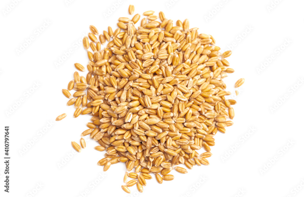 A Pile of Spelt Grain Isolated on a White Background A Pile of Spelt Grain Isolated on a White Background