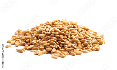 A Pile of Spelt Grain Isolated on a White Background