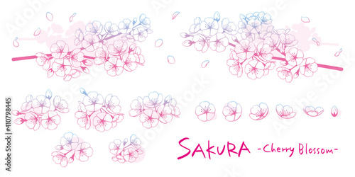 桜のイラストパーツ素材セット　線画グラデーション