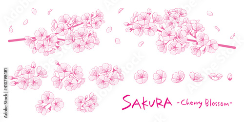 桜のイラストパーツ素材セット　線画1色