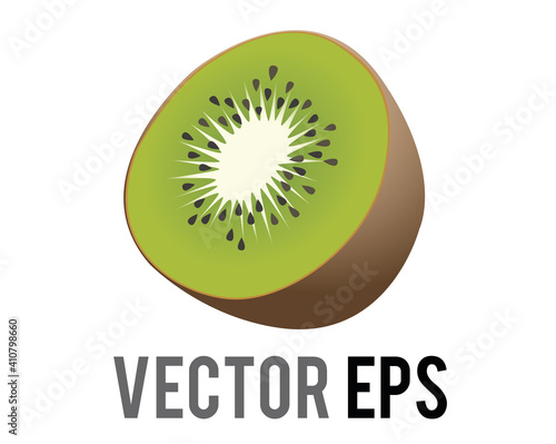 Vector kiwi fruit icon with fuzzy, brown skin, green flesh, white core, black seeds