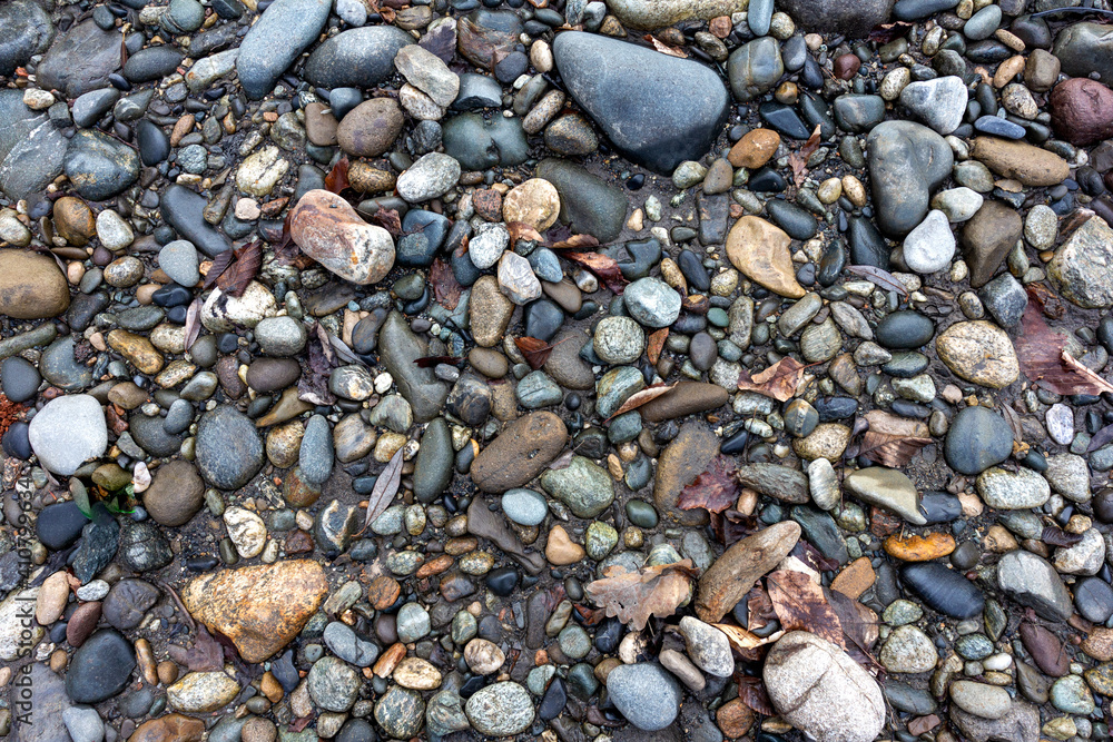 A shallow river, a rocky bottom with a dry riverbed against the background of autumn weather in nature and small pebbles. A shallow river, a rocky bottom with a dry riverbed against the background of autumn weather in nature and small pebbles.