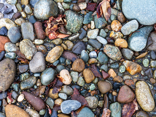 A shallow river, a rocky bottom with a dry riverbed against the background of autumn weather in nature and small pebbles.