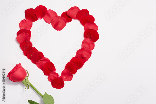 White background with rose petals in the shape of a heart on a hand. photo
