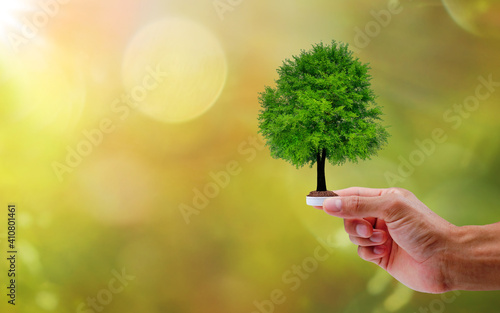 Hand holding a bottle cup plastic with a tree on natural background. save the earth ecology concept.