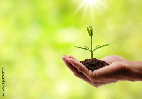 Hand holding a small tree on natural bokeh background. save the earth concept.