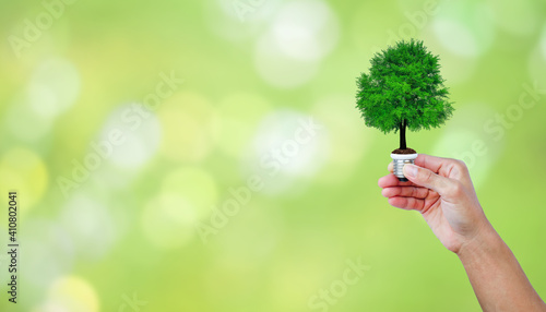 A tree glowing in a light bulb on green natural bokeh background. green energy for environment and save the earth ecology concept.