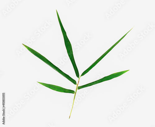 Bamboo leaves isolated on white background © WITCHA