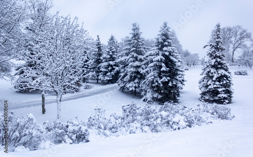 Winter trees in the snow in the city park. © Sviatlana