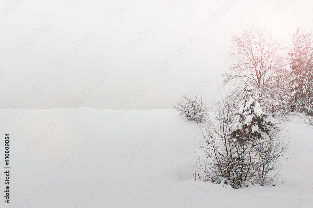 Winter landscape with trees and bushes and copy blank space.