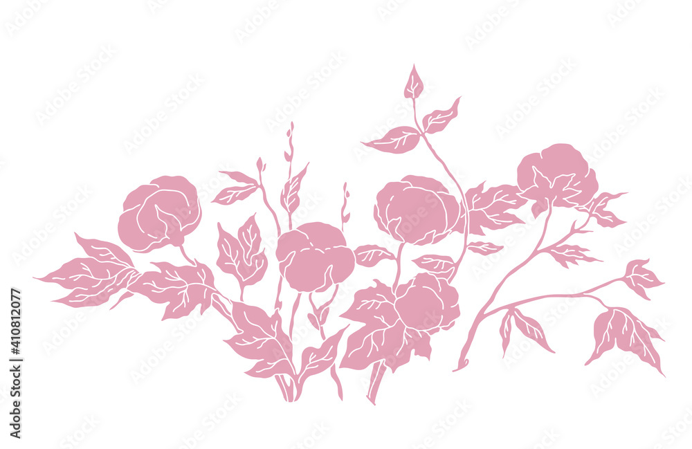 Cotton herb for elegant invitation, wedding card design, rustic design, botanical design. Illustration on a white background