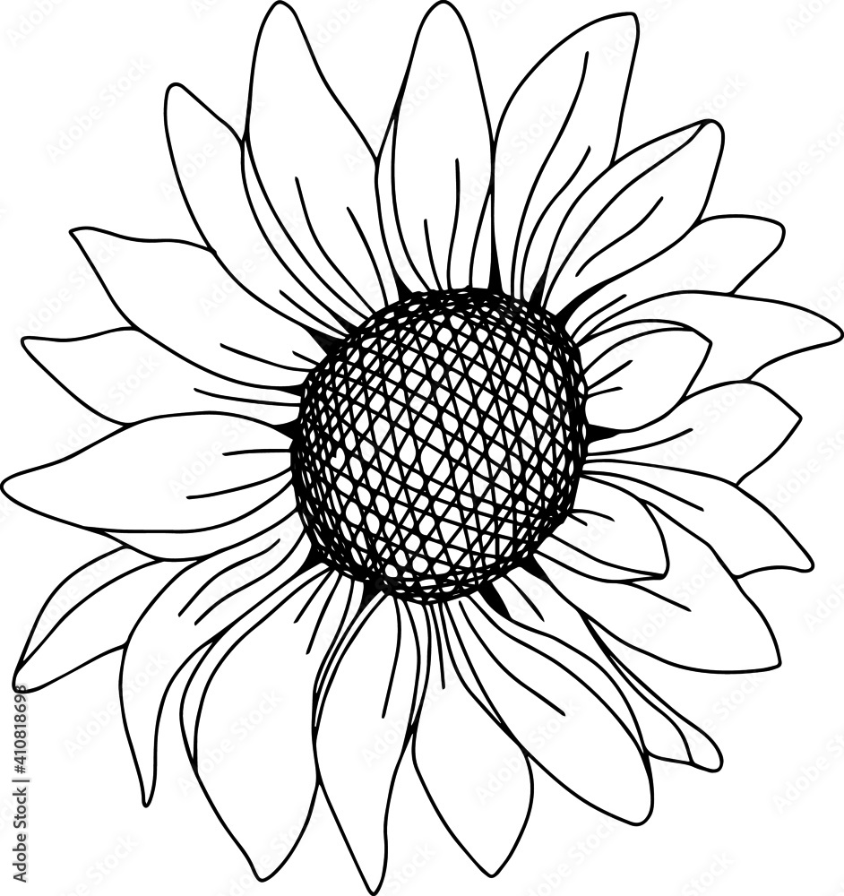 summer clipart black and white