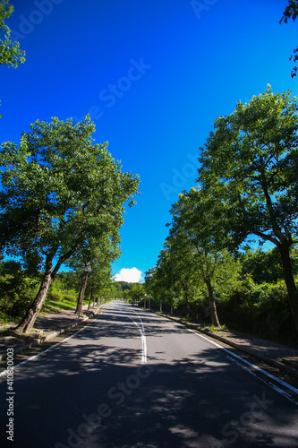 Wallpaper Mural 観光で見た景色 Torontodigital.ca