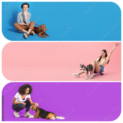 Heap of dry pet food on whi...