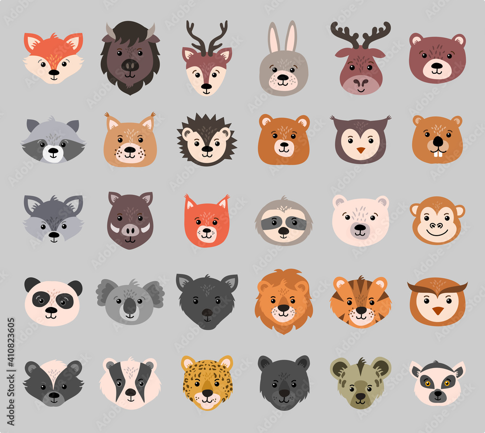 Beautiful set of child style woodland and exotic animals vector collection