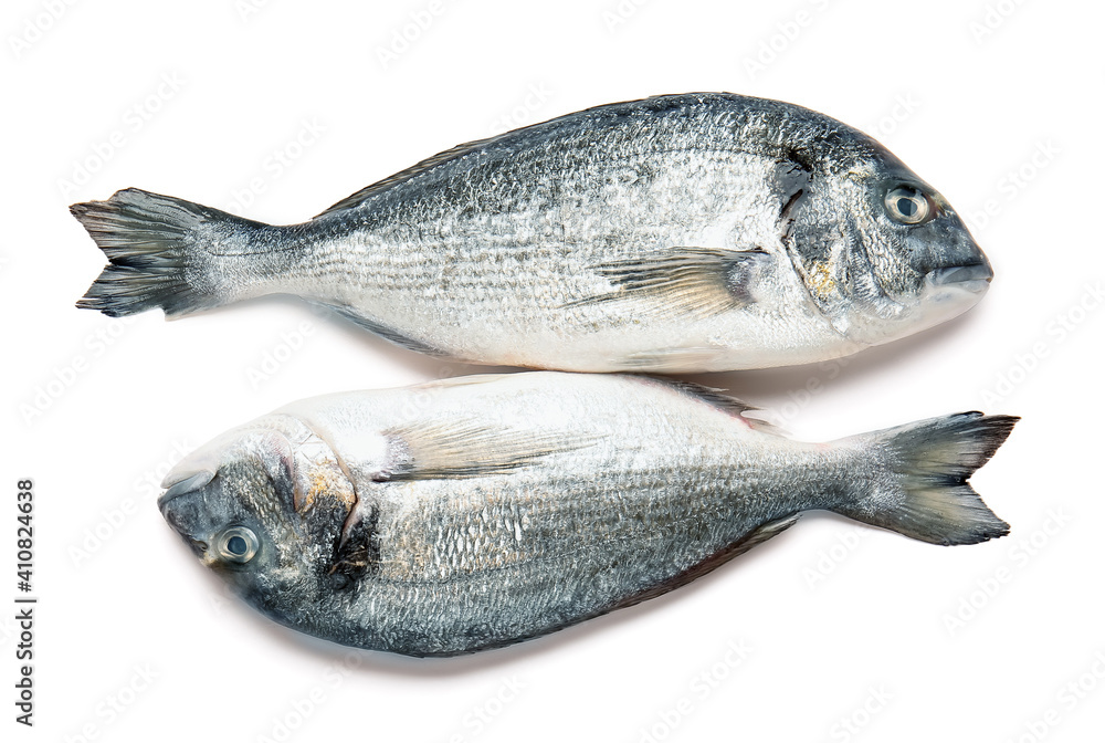 Raw dorado fish on white background Raw dorado fish on white background