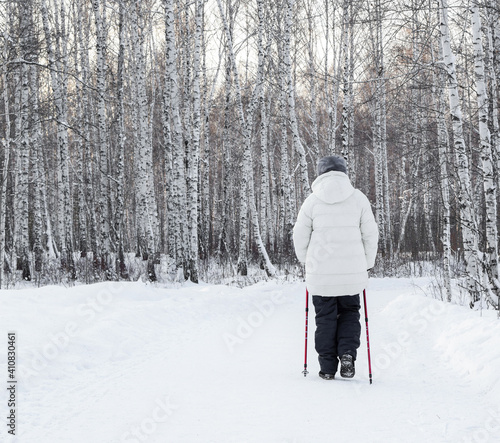 A woman walks with Scandinavian sticks in the park. Nordic walking. Winter day in a birch forest. Active people in nature. Copy space.