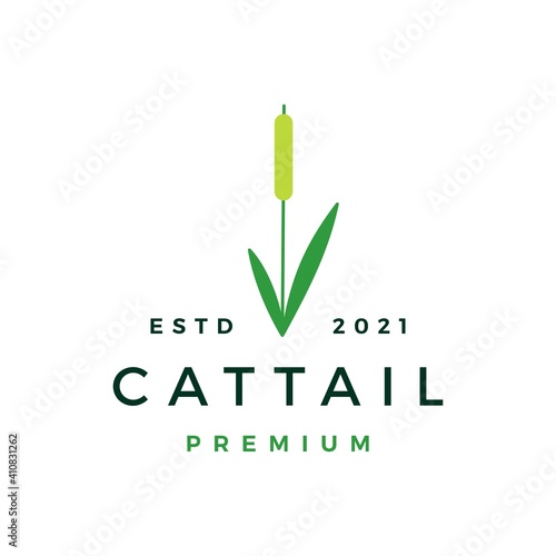 cattail grass logo vector icon illustration