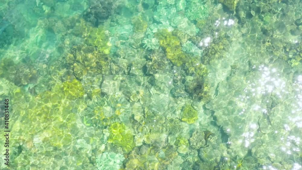 Aerial seascape with coral reef, clear blue water, waves in summer. Transparent water. Top view. Aerial seascape with coral reef, clear blue water, waves in summer. Transparent water. Top view.