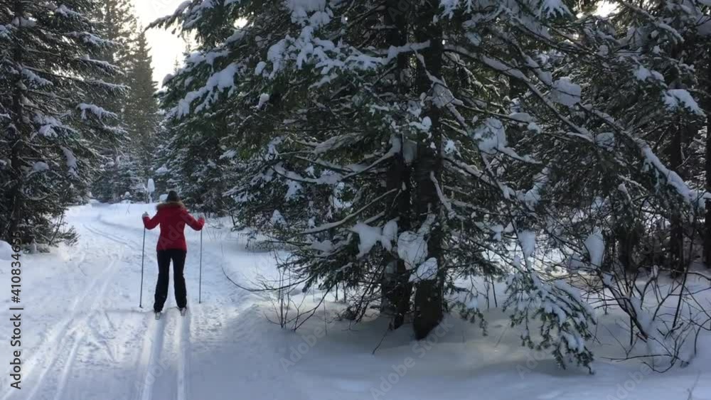 The girl goes skiing in winter and snow. Ski trip The girl goes skiing in winter and snow. Ski trip