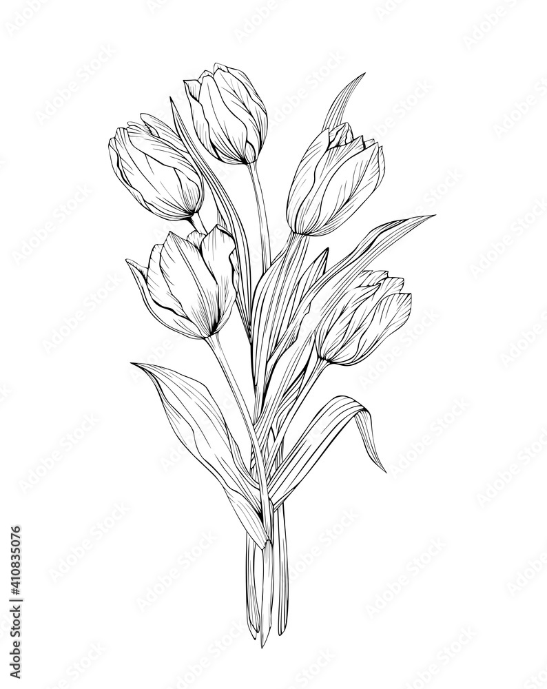 Obraz premium Bouquet of tulips art line black and white pattern isolated. Drawing of flowers for tattoos