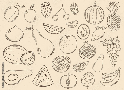 Fototapeta Naklejka Na Ścianę i Meble -  Hand drawn fruits collection vector design illustration isolated on background