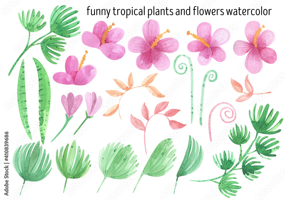 Fototapeta premium Watercolor funny tropical plants, pink flowers, hibiscus, palm leaves. hibiscus, aloe, fantastic flowers. Jungle plants, tropical botany