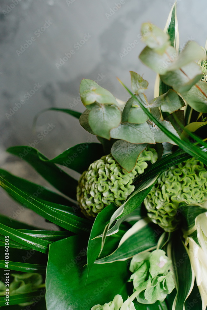Tropical green background from exotic flowers. Tropical green background from exotic flowers.