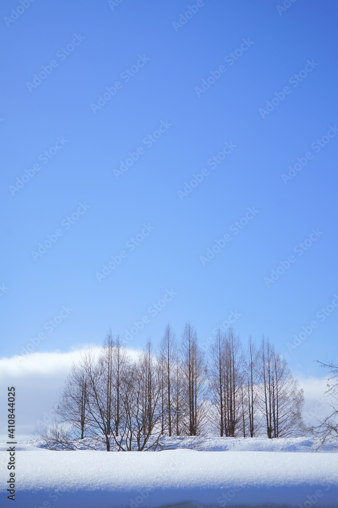 青空コピースペースのある晴れた日の雪景色と木立 青空コピースペースのある晴れた日の雪景色と木立