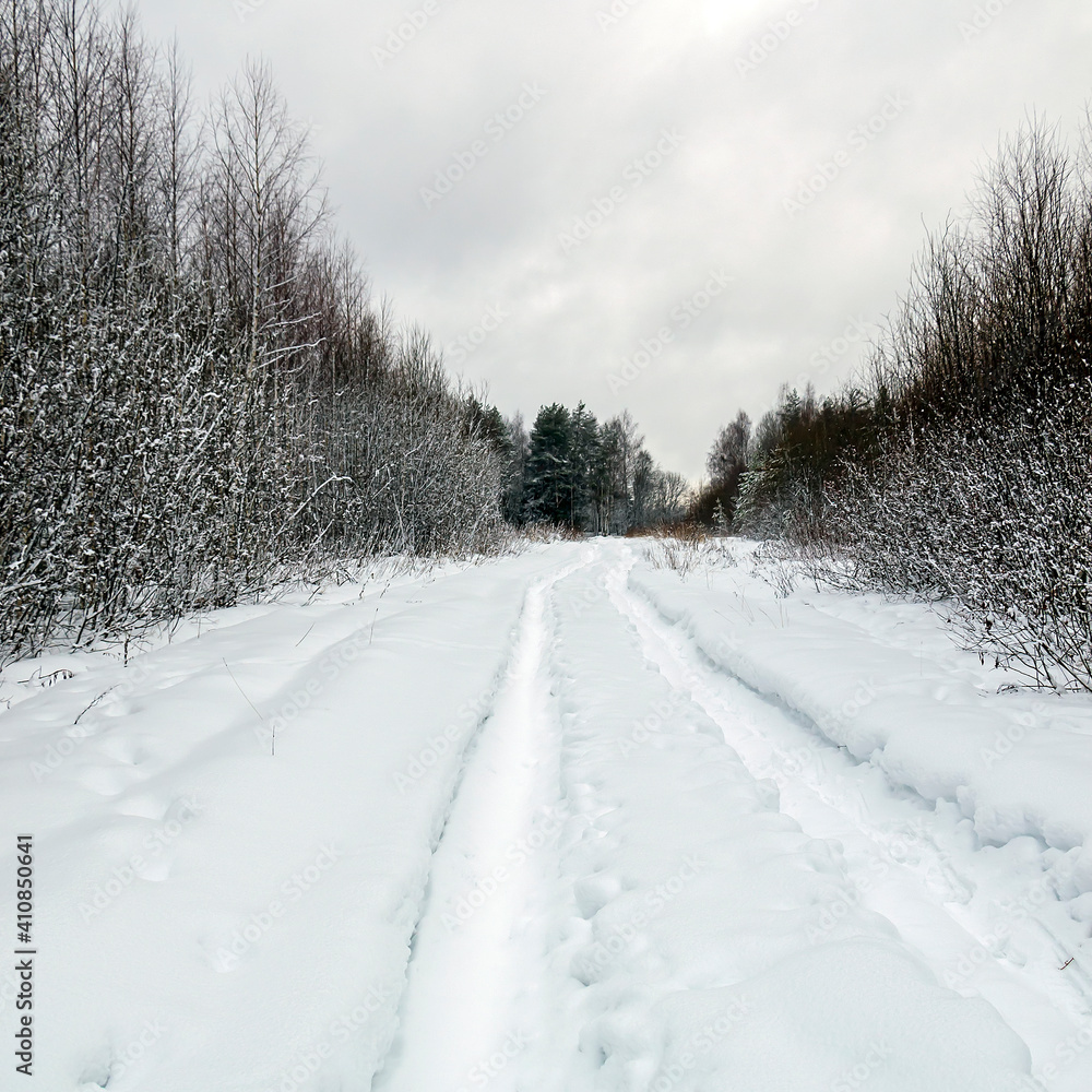 Fototapeta premium winter forest road
