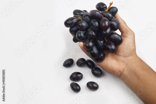Black Grapes Image , Nashik , Maharashtra , India , Black Grapes With White Background