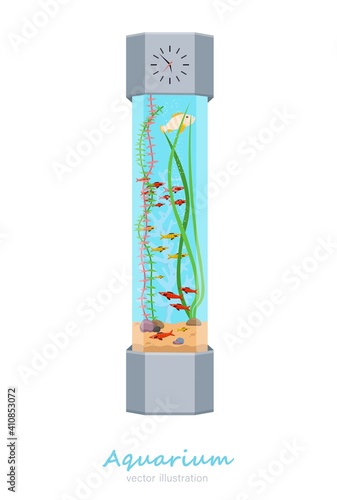 Vector aquarium image