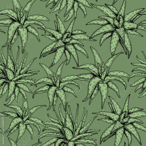 Aloe vera vector seamless pattern. Hand drawn graphic plants with black contour on green background. Vintage succulent drawing. Monochrome botanical illustration. Trendy floral summer design.