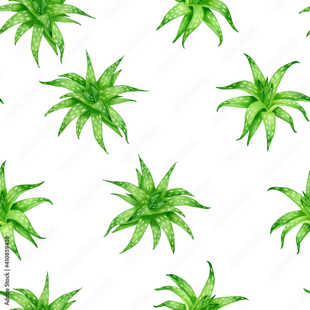 Aloe vera hand drawn watercolor seamless pattern isolated on white background. Fresh aloe green leaves design.