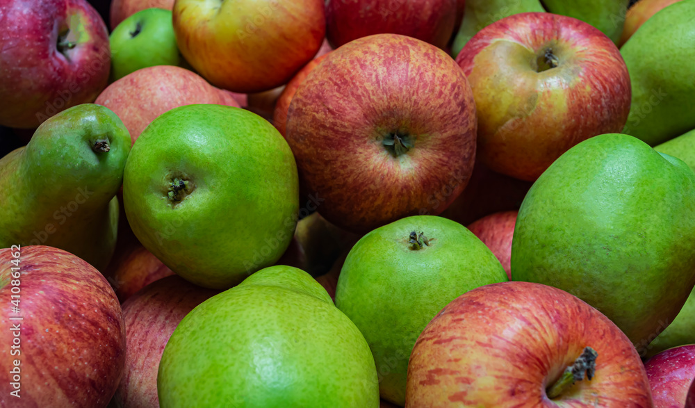 autumn green and red apples close up autumn green and red apples close up