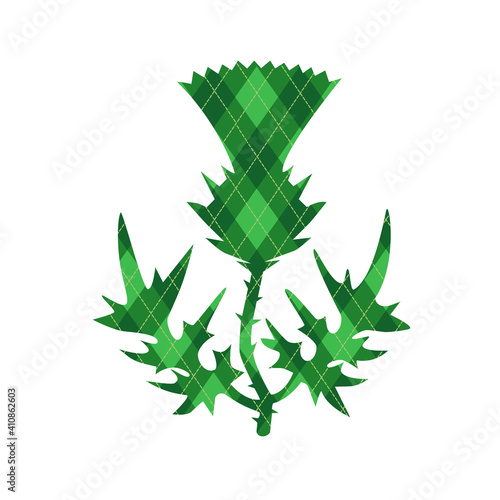  .Green argyle thistle St. Patrick's Day colors. Symbol, icon, design element. Vector illustration on white background. photo