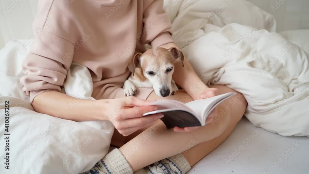 Reading at home in white bed with pet. Enjoying relaxed time weekend with book in comfort cozy atmosphere. Woman with slim beautiful legs having rest at home. Adorable dog Napping falls asleep. Video Reading at home in white bed with pet. Enjoying relaxed time weekend with book in comfort cozy atmosphere. Woman with slim beautiful legs having rest at home. Adorable dog Napping falls asleep. Video