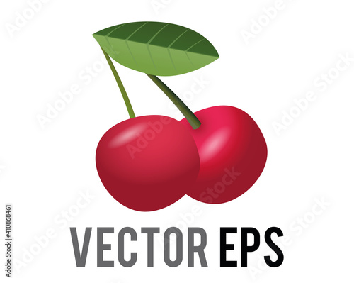 Vector fruit two rich red wild cherries icon with green leaf