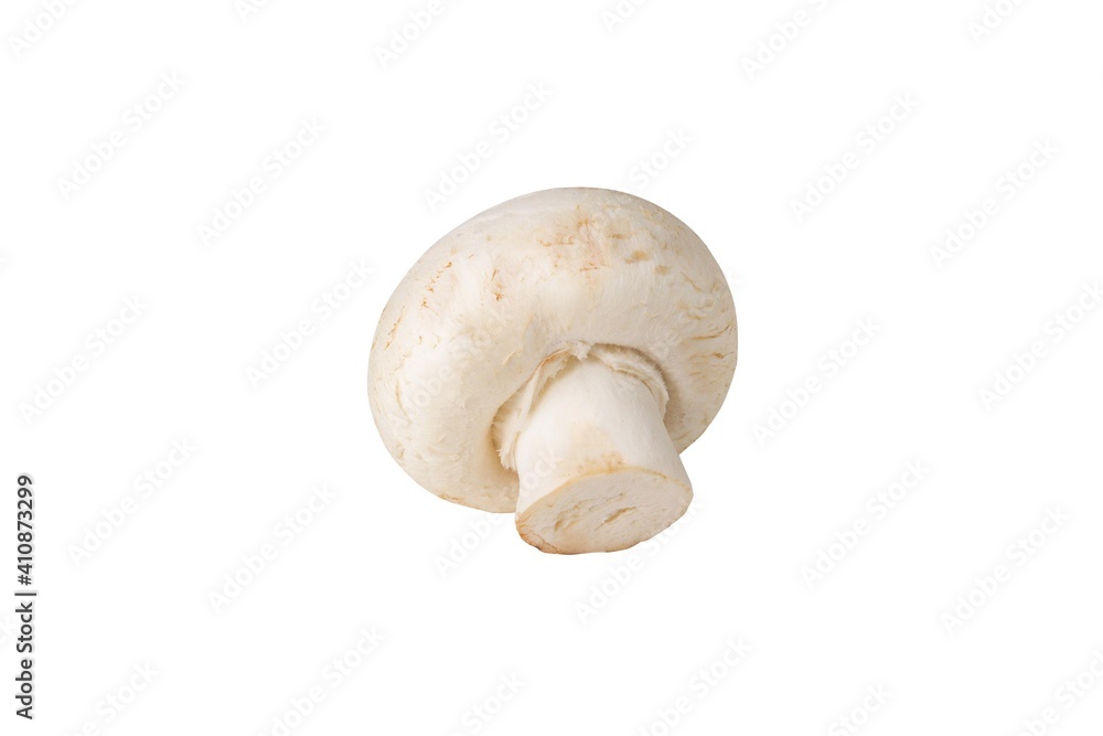 Fototapeta premium Champignon on an isolated white background. White champignon