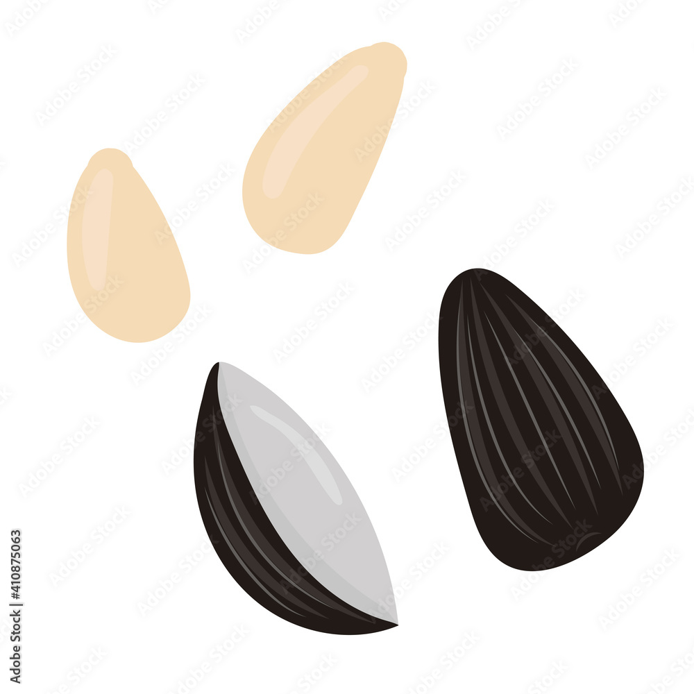 vector element in flat style, rodent food - sunflower seeds vector element in flat style, rodent food - sunflower seeds