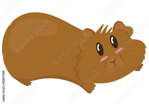 cute plump brown guinea pig lies with outstretched paws, cute domestic rodent, vector illustration
