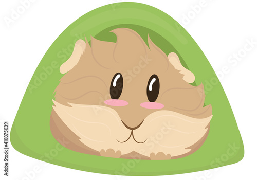 cute light beige shaggy guinea pig in a green house tent, cute home rodent, vector illustration