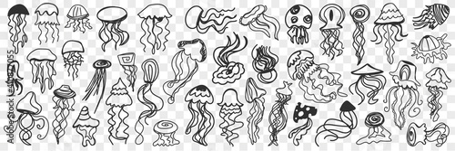 Various swimming jellyfish doodle set. Collection of hand drawn cute jellyfish of traditional shapes swimming under water isolated on transparent background. Illustration of undersea world for kids