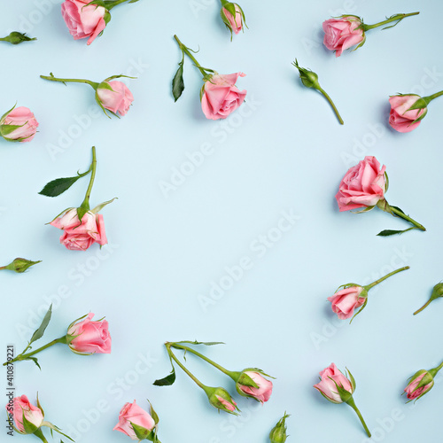 Border frame made with roses  pink flower buds and leaves isolated on pastel blue background. Minimal spring bloom concept. Valentine s day or Women s day card with copy space. Flat lay  top view.