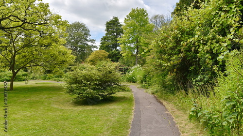 path in the park