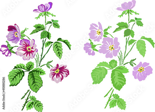 vector floral pattern