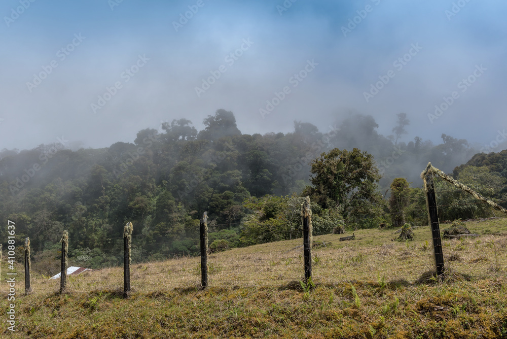 The rainforest in Volkan Baru National Park, Panama