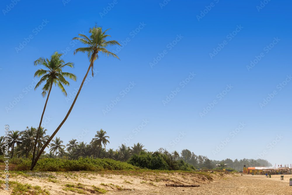 Tropical beach in GOA, India. Sandy beach with palm and turquoise sea. Summer vacation and tropical beach concept. Tropical beach in GOA, India. Sandy beach with palm and turquoise sea. Summer vacation and tropical beach concept.